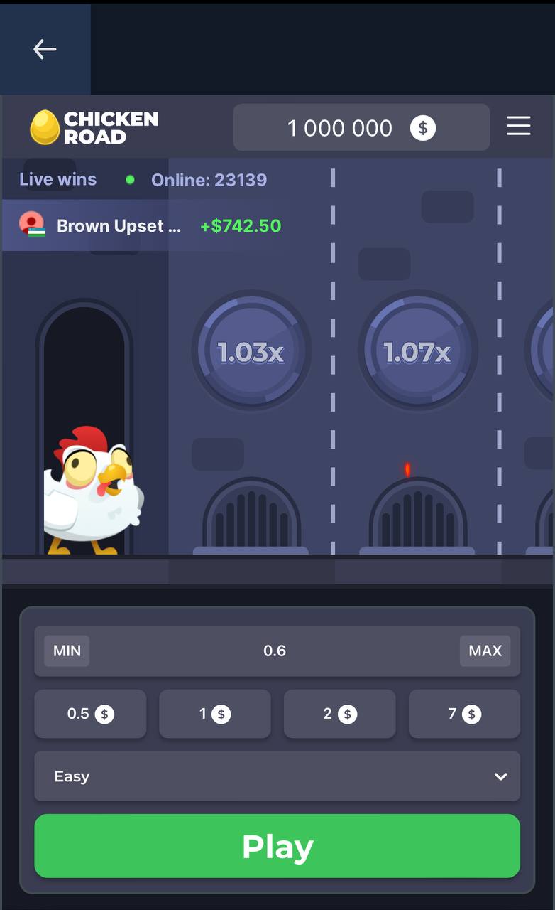 chicken-road-6